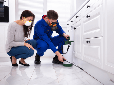 About Chemical Treatment Raywood - chemical treatment experts in Raywood