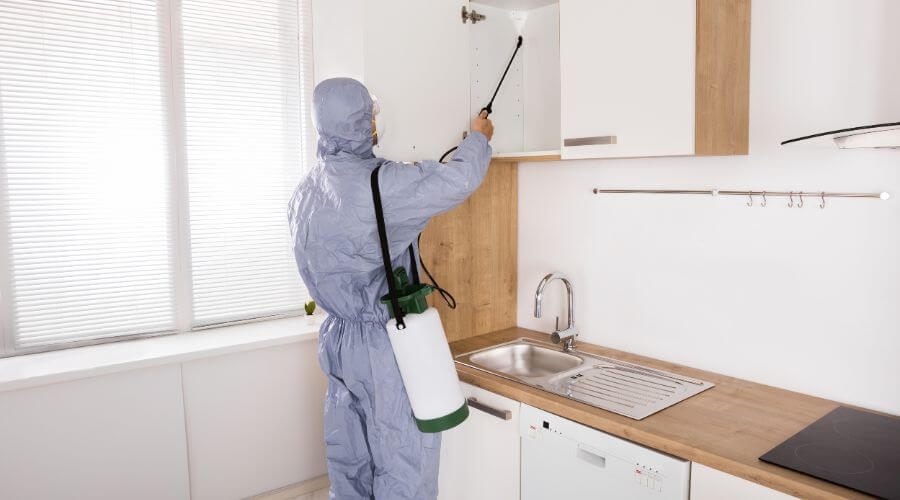 Professional chemical treatment services in Raywood - Chemical Treatment Raywood